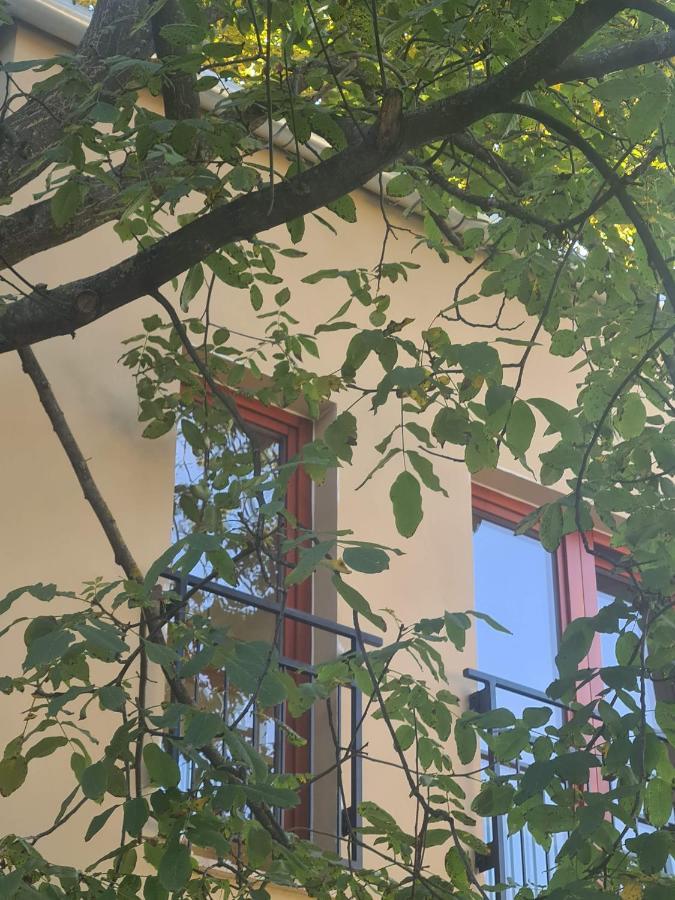 Palantir Panzio Bed & Breakfast Miskolc Bagian luar foto